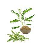Bhumi Amla powder nutritional supplement for liver health and wellness