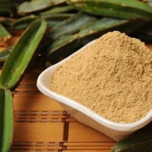 Hadjod powder nutritional supplement for bone health and vitality