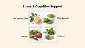 Stress & Cognitive Support